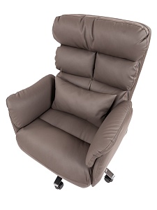 Офисное кресло CHAIRMAN 433, экокожа, коричневый